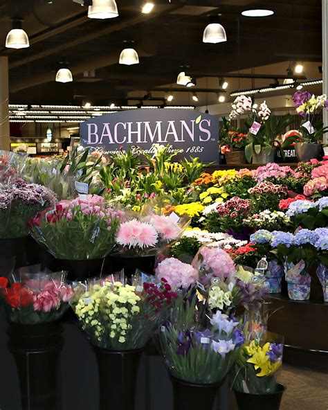 Meet Karen Bachman Thull And Jennifer Blaha Flower Display Flower Service Greenhouse Plants