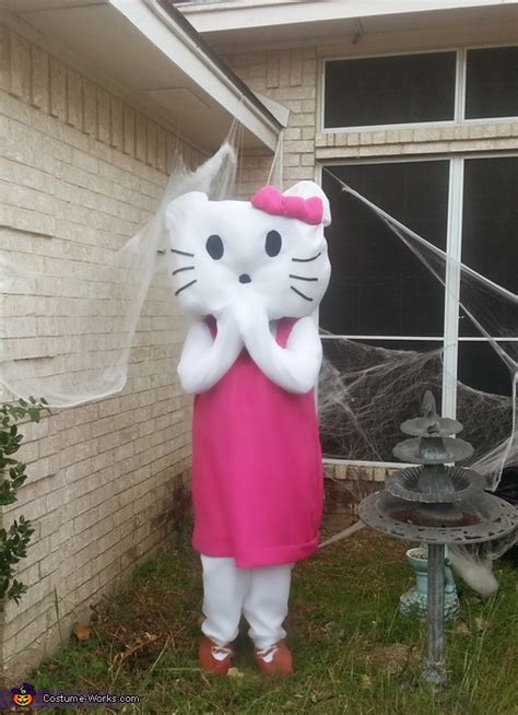 Hello Kitty Adult Costume Easy Diy Costumes Photo 55