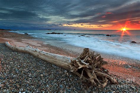 Driftwood Beach Sunset Photograph By Katherine Gendreau