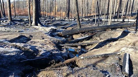 Pioneer Fire Restoration Great West Engineering