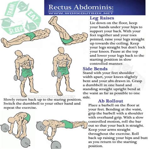 Vertical Improvement Program Upland Exercises To Work Out Rectus Abdominis Located