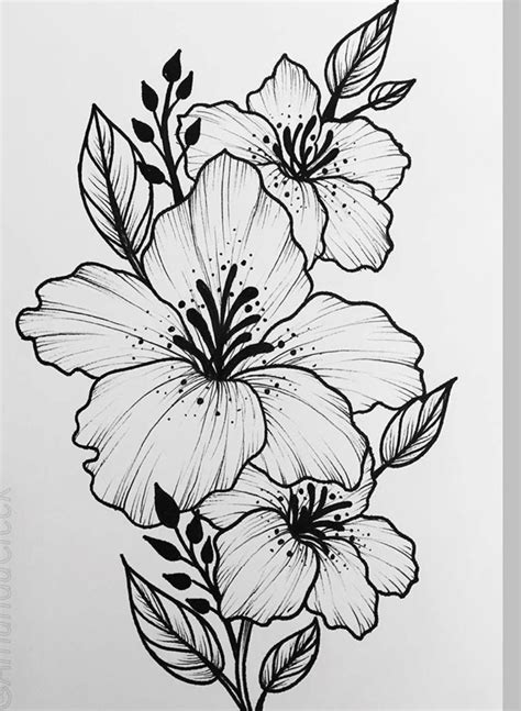 pin de lena negrete en drawing cómo dibujar tatuajes hermosos dibujos de flores plantillas