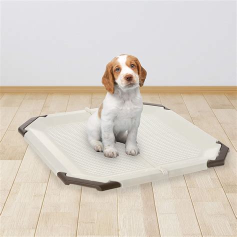 Paw Trax Potty Pad Holder Puppy Training Pad Tray For A