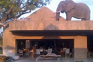 An elephant on the roof at Sabi Sabi - What's banging on the roof?