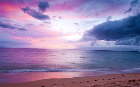 On the remote purple sands beach, the sand can appear in a spectrum of chromatic hues, ranging from lavender to magenta and sometimes even pink. Beach Sea Purple Landscape Wallpapers HD / Desktop and ...