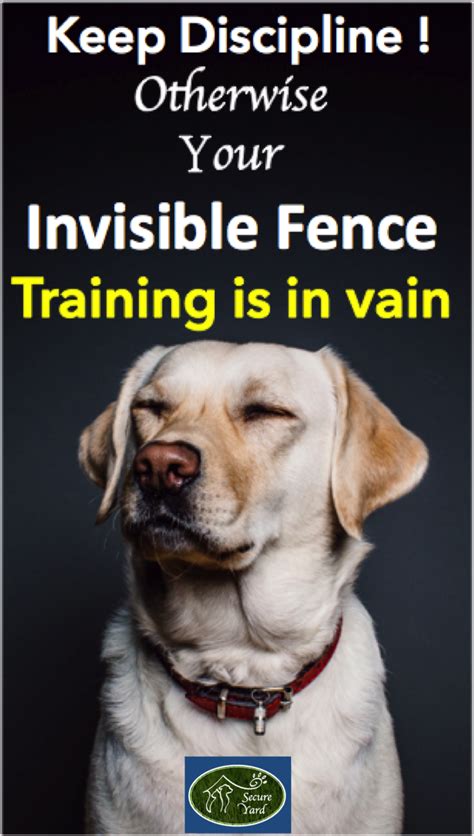 Check out our reviews of 2019's top wireless dog fences. Keep discipline will ensure the success of installing an invisible fence . Put the receiver ...