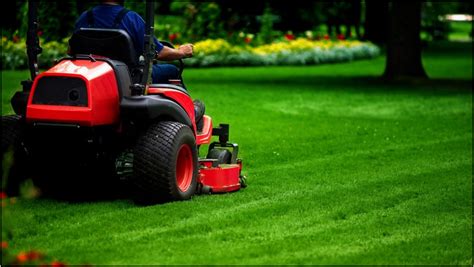 Lawn care near me, we are like grenthumb and greensleeves in that we work in the areas of cheshire, staffordshire and chester. Lawn Care Equipment Packages Near Me | Home and Garden Designs