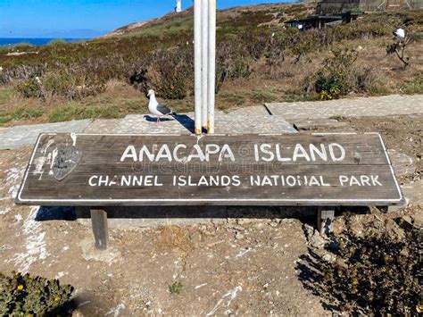 Anacapa Island Channel Islands National Park Stock Photo Image Of