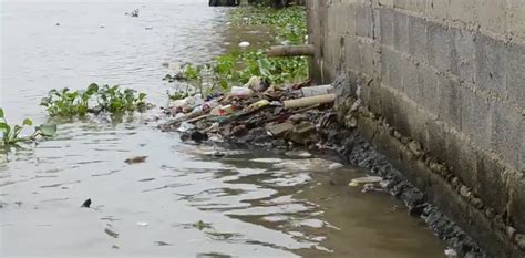Pollution And Harmful Bacteria In The Ozama River