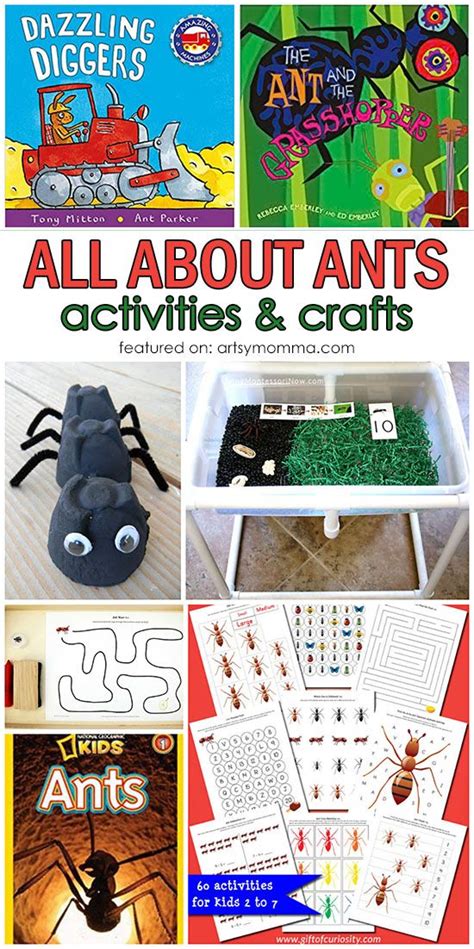Preschool Ant Activities Science Experiments For Preschoolers Craft