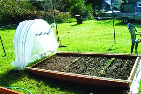 To do so, one can install precious garden raised bed covers, garden trellises, tomato cages, and garden bird feeders all with pvc pipes! Pin on FOR ME TO MAKE