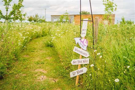 Adult Parties Mad Hatters Campsite