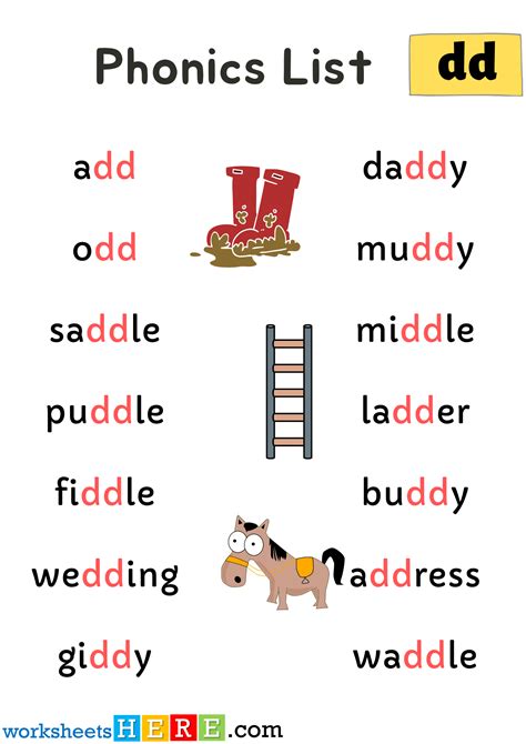 Spelling Phonics ‘dd Sounds Pdf Worksheet For Kids And Students