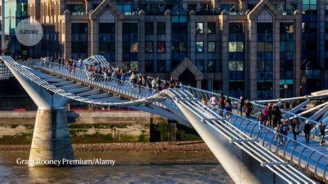 Why The ‘wobbly Bridge Did Its Infamous Shimmy