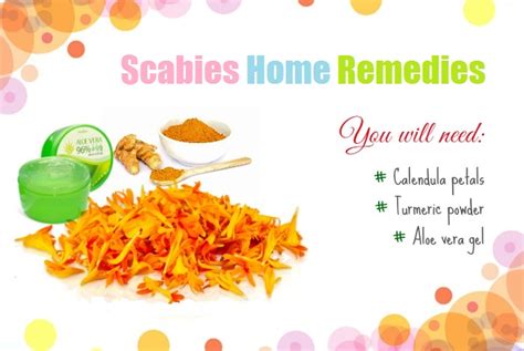 Scabies Home Remedies Treatment And Prevention