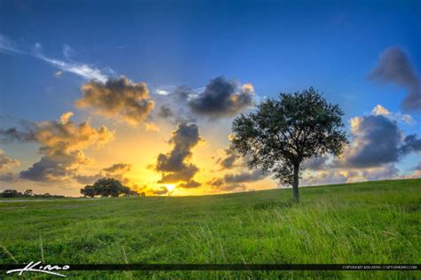 Grassy Hill Lone Tree At Sunset Dyer Park Hdr Photography By Captain Kimo