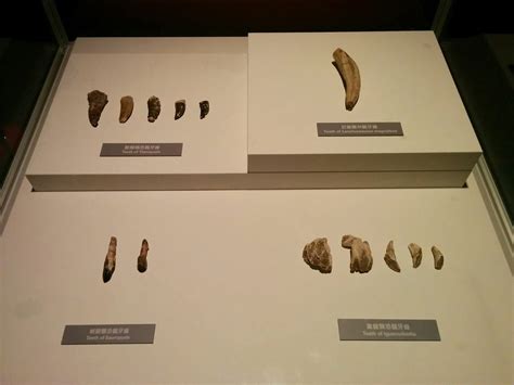 See more of 香港科學館 hong kong science museum on facebook. 香港科學館恐龍展覽 - 巨龍傳奇