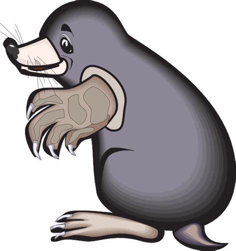 Collection Of Png Mole Pluspng