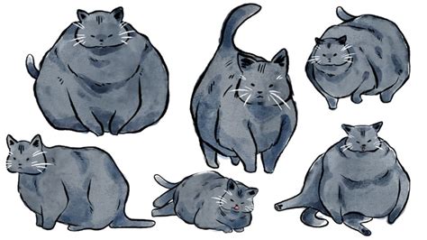 Update 79 Fat Cat Sketch Ineteachers