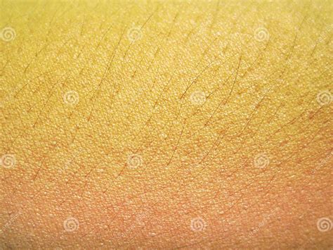 Human Skin Texture Close Up Stock Image Image Of Complexion