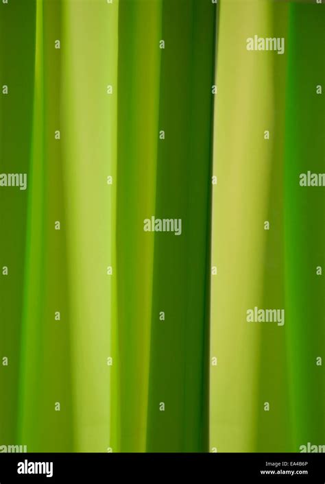 Green Stripe Background Stock Photo Alamy