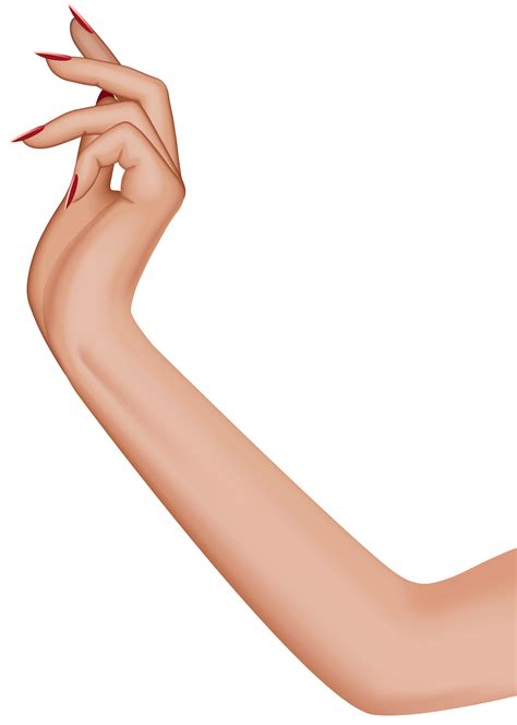 Female Hand Transparent Png Clip Art Gallery Yopriceville High