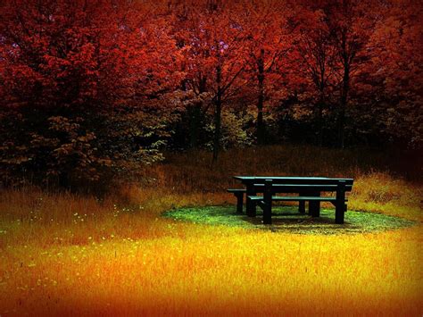 Sonbahar Masaüstü Resimleri En Güzel Sonbahar Resimleri Fotoğrafları