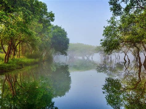 Reflections Of Trees Lake Lohas Cheongwon Gun South Korea Summer Cool