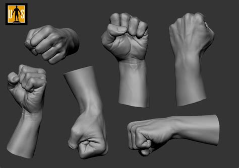 Hand In 4 Poses 3d Model Hand Reference Body Reference Drawing Hand Drawing Reference