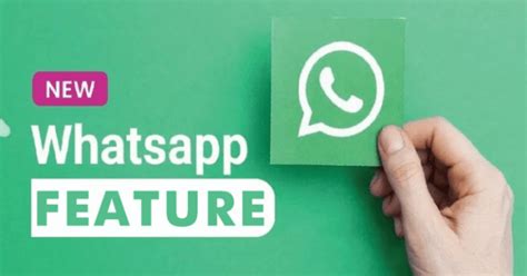 Whatsapps New Update Brings An Excellent New Feature Viral Tech