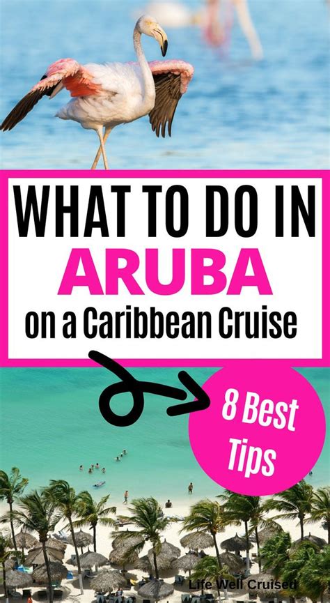 The Best Of Joyful Aruba Easy Cruise Travel Guide Aruba Cruise