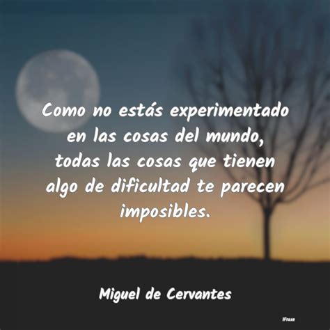 Frases De Miguel De Cervantes Como No Estás Experimentado En Las Cosa