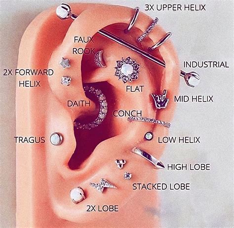 Unique Ear Piercings Ear Piercings Chart Types Of Ear Piercings Cool