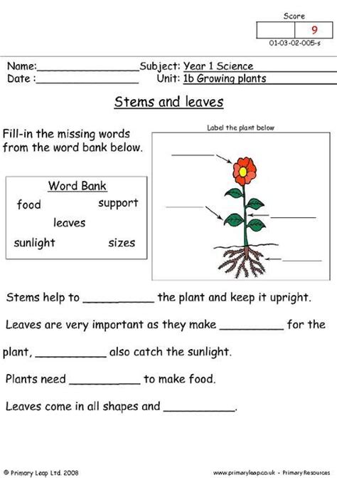 Science Growing Plants 1 Worksheet Uk 2nd Grade