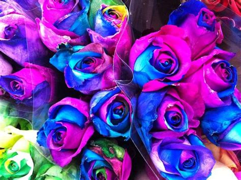 Learn How To Make Simple Colored And Rainbow Roses Step By Step Diy Project