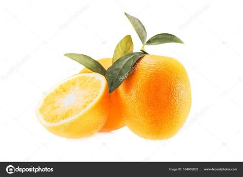 Fresh Juicy Oranges — Stock Photo © Vadimvasenin 164085832