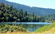 Lewiston Lake Fish Report - Lewiston, CA (Trinity County)