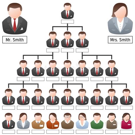 Corporate Hierarchy Structure Chart Stock Vector Illustration Of