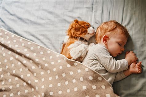 Baby And His Puppy Sleeping Peacefully Stock Photo Download Image Now