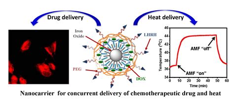Nanoparticle Heating Magnetic Hyperthermia Systems Cancer Treatment