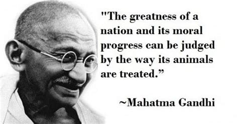 5 Of Our Favourite Quotes By Mahatma Gandhi Which Inspire Us Everyday