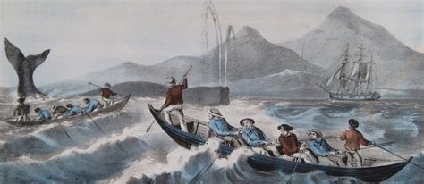 Whaling In New England The Greenland Fishery