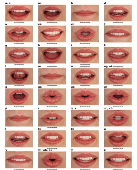Learning How To Read Lips