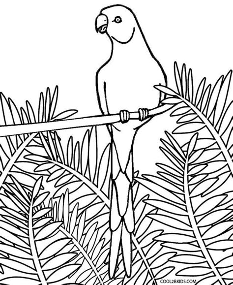 Printable Parrot Coloring Pages For Kids