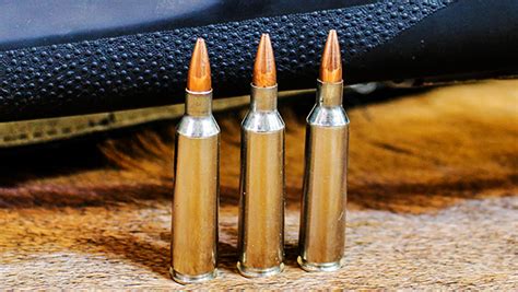 3 Rifle Cartridges To Hunt The World By Philip Massaro You Will Shoot