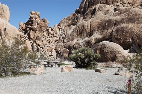 Indian Cove Campground Joshua Tree National Park Camping Usa