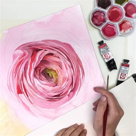 The Ranunculus Painting Floral Painting Watercolor Paintings For