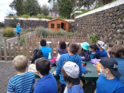 Segundo Disfruta Del Huerto Escolar Ceip Dom Nguez Alfonso