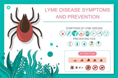 Preventing Tick Bite And Lyme Disease Symptoms Vector Cartoon Medical