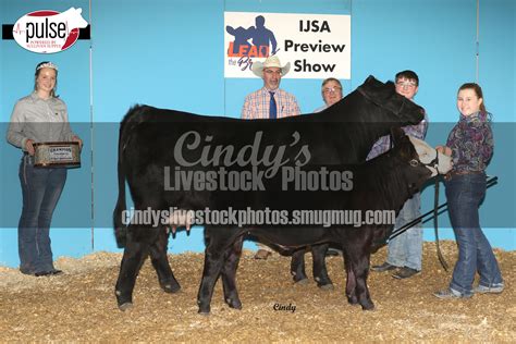 Illinois Simmental Preview Show Official Backdrops Purebred Cow Calf
